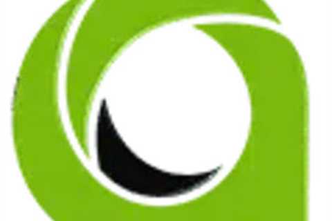 Asia Virtual Solutions (14 links)