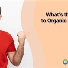 What’s the Secret to Organic Visibility in 2025?