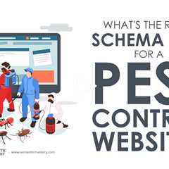 What's the Right Schema Type for a Pest Control Website?