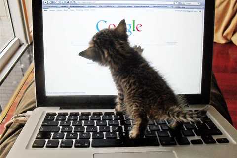 Almost-Customers Are Local SEO Gold