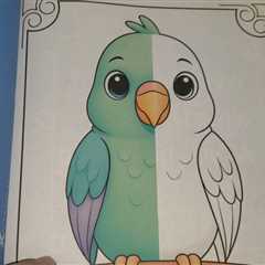 INTERACTIVE PAGES? Color The Missing Half Coloring Book Review Dementia Activities for Seniors