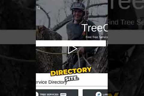 Niche Directories: Topical vs Geographic Linking Strategy
